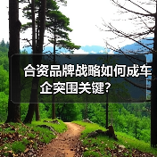 合资品牌战略如何成车企突围关键？（图4）