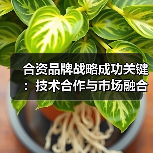 合资品牌战略成功关键：技术合作与市场融合如何共赢（图2）