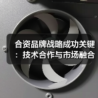 合资品牌战略成功关键：技术合作与市场融合如何共赢（图3）