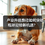 产业升级路径如何突破瓶颈迎接新机遇？（图1）