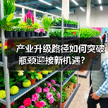 产业升级路径如何突破瓶颈迎接新机遇？（图4）