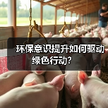 环保意识提升如何驱动绿色行动？（图3）