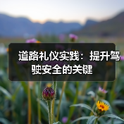道路礼仪实践：提升驾驶安全的关键（图1）