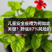 儿童安全座椅为何如此关键？降低87%风险的守护秘诀（图4）