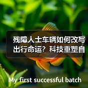 残障人士车辆如何改写出行命运？科技重塑自主尊严（图1）