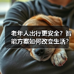 老年人出行更安全？智能方案如何改变生活？（图4）