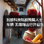 智能科技赋能残障人士车辆 无障碍出行开启生活新可能（图2）