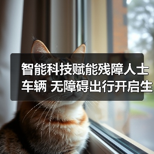 智能科技赋能残障人士车辆 无障碍出行开启生活新可能（图4）