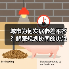 城市为何发展参差不齐？解密规划协同的决胜关键（图2）