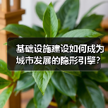 基础设施建设如何成为城市发展的隐形引擎？（图2）