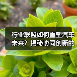 行业联盟如何重塑汽车未来？揭秘协同创新的力量（图3）