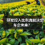 研发投入比例真能决定车企未来？（图4）