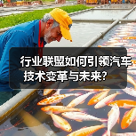行业联盟如何引领汽车技术变革与未来？（图4）