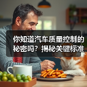 你知道汽车质量控制的秘密吗？揭秘关键标准与实战案例（图2）