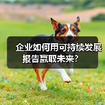 企业如何用可持续发展报告赢取未来?(图4) 企业如何用可持续发展报告赢取未来?(图4)