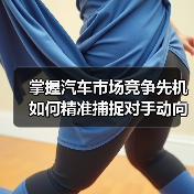掌握汽车市场竞争先机 如何精准捕捉对手动向？（图3）