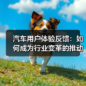 汽车用户体验反馈:如何成为行业变革的推动力?(图4) 汽车用户体验反馈:如何成为行业变革的推动力?(图4)