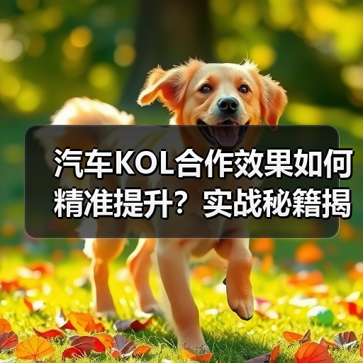 汽车KOL合作效果如何精准提升?实战秘籍揭秘(图3) 汽车KOL合作效果如何精准提升?实战秘籍揭秘(图3)