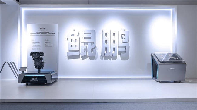 全球创新大会展现技术实力，构建可持续国际化发展新路径